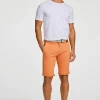 Chinosshorts