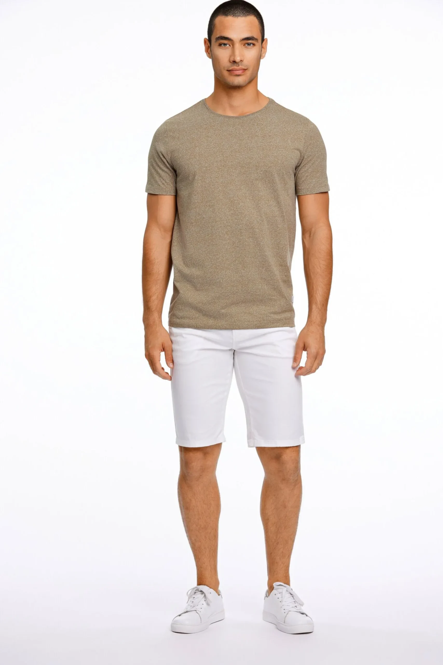 Chinosshorts